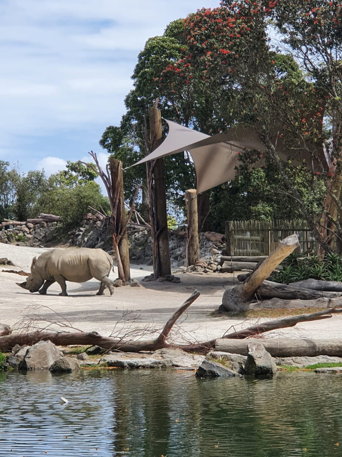 Does Water Go Through a Shade Sail?